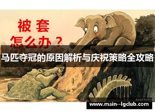 马匹夺冠的原因解析与庆祝策略全攻略