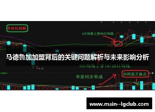 马德鲁加加盟背后的关键问题解析与未来影响分析